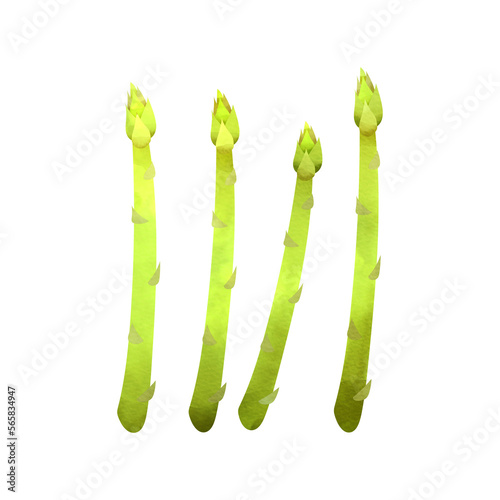 アスパラガスの水彩風イラスト