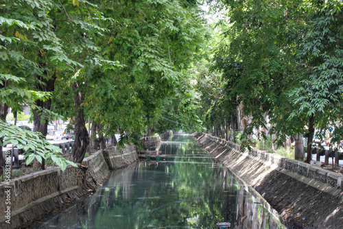 a city river with shady trees