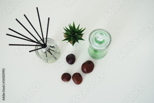 Incense sticks in a glass cubic vessel with essential oils. Interior decor. White background. Sansevier or aloe plant in a pot. Wax candle in a stylish glass flask with a lid. Chestnut fruit photo