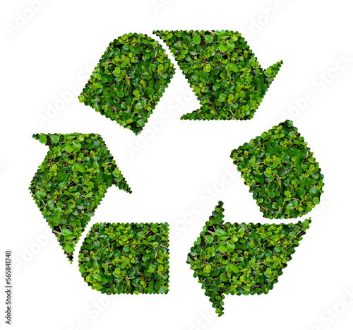 Symbol of waste recycling with green leaves on transparent background.