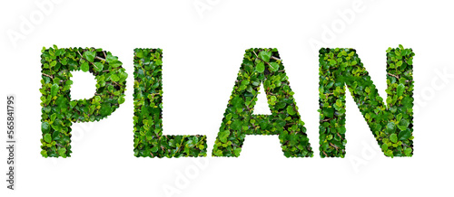PLAN text with green leaves on transparent background.