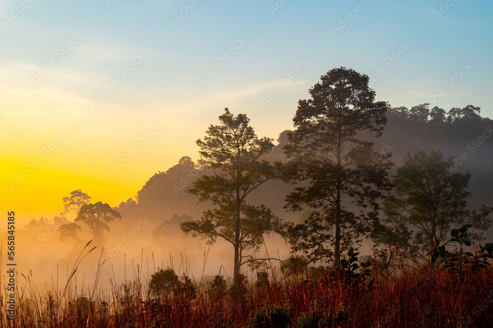 Aerial view background of sunlight , sunrise over mountain with fog over the ground in foreground savannah Meadow , Petchaboon province, Thailand,asia.Soft focus.