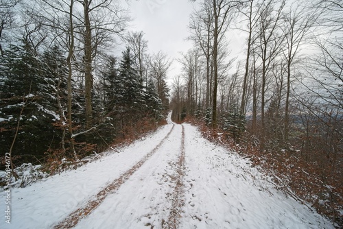 walk through a wintry forest in central europe 