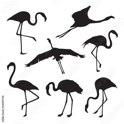 set of flamingo silhouette vector