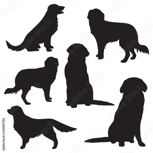 set of golden retriever silhouette vector