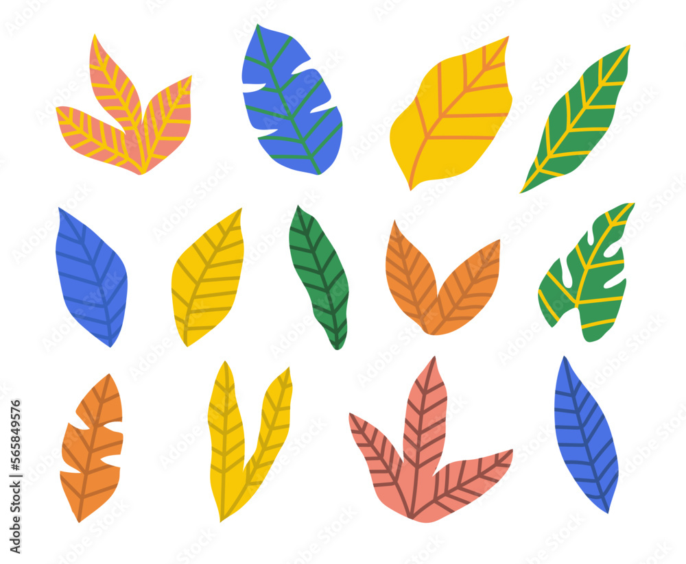 Obraz premium Hand drawn plant abstract colorful shape