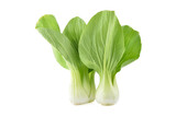 Bok choy vegetable isolated on  white background.