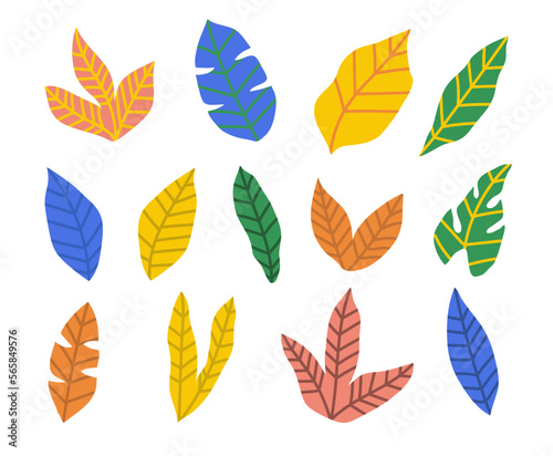 Hand drawn plant abstract colorful shape