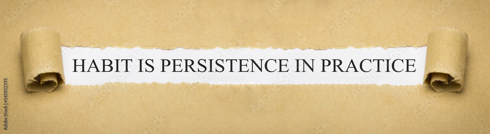Habit is persistence in practice