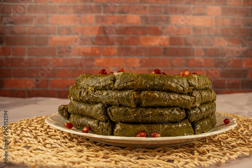 Stuffed vine leaves with rice.  Traditional meal in Egypt, Turkey and Lebanon Mostly it is presented with yogurt salad and garnished with pomegranate.   © Israa