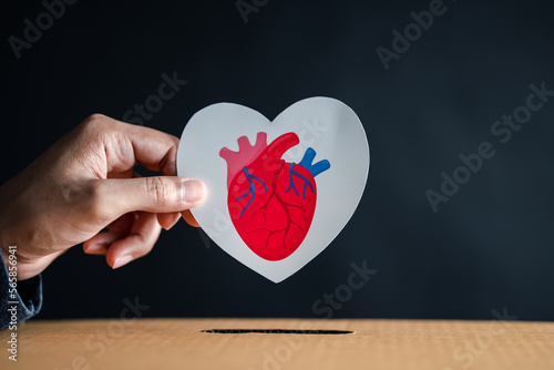 hands drop red heart to donation box. health care, organ donation, family life insurance, world heart day, world health day, praying concept