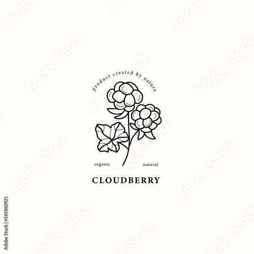 Line art cloudberry branch illustration