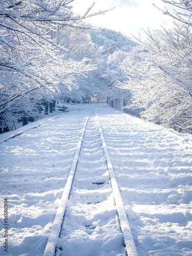 雪が積もる蹴上インクラインの絶景