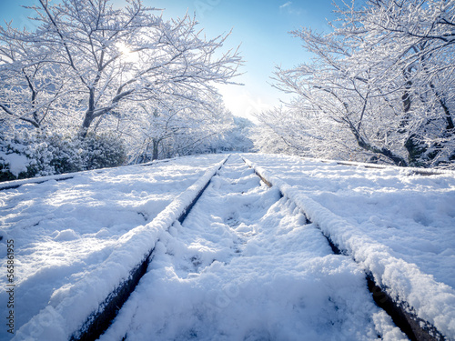 雪が積もる蹴上インクラインの絶景