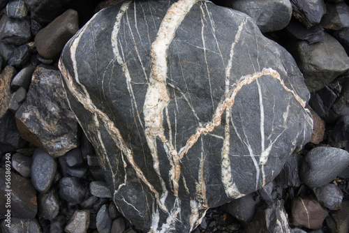 Quartz veins on a rock found on the west slope of the Great Nunatak outside Valdez, Alaska.