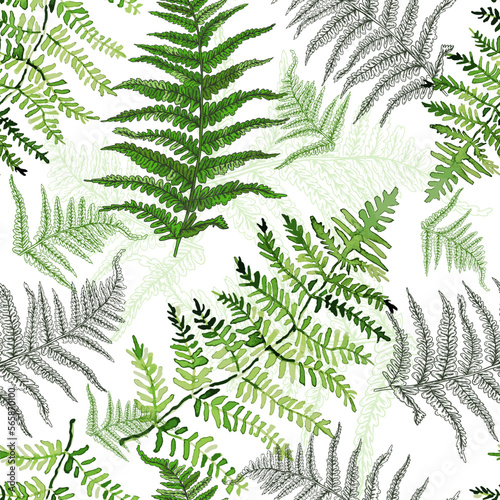 Seamless floral pattern in vintage style. Leaves and plants. Botanical illustration. Fern seamless background. Vector illustration