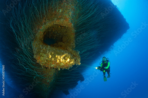 Diver at Anchor Hawse Hole at Bow of USS Saratoga, Marshall Islands, Bikini Atoll, Micronesia, Pacific Ocean photo