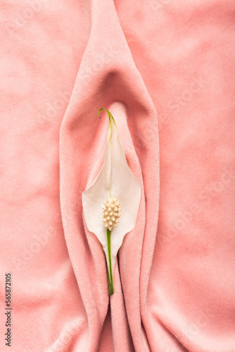 Pink soft tissue in the form of female genital organs, vulva and labia, vagina concept with delicate flower