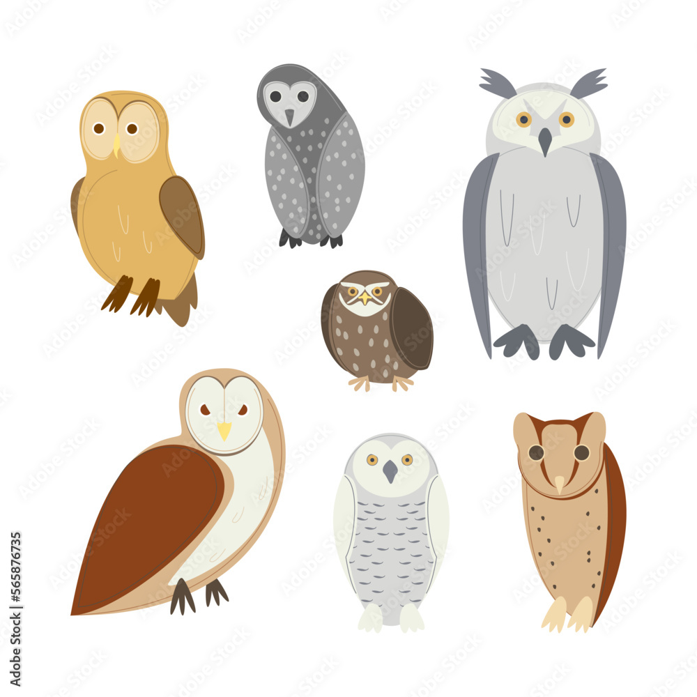 Fototapeta premium Cartoon Color Different Owl Birds Set Concept Flat Design Style. Vector illustration of Sitting Nocturnal Owls