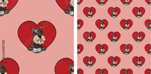 Mini Schnauzer dog with paws pattern, Valentine's day heart wallpaper. Love heart with pet head holiday texture. Dog face Holding Heart Cartoon square background. St Valentine's day present paper.