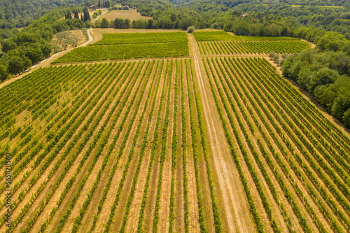 Fototapeta Naklejka Na Ścianę i Meble -  Drone photography of vineyard