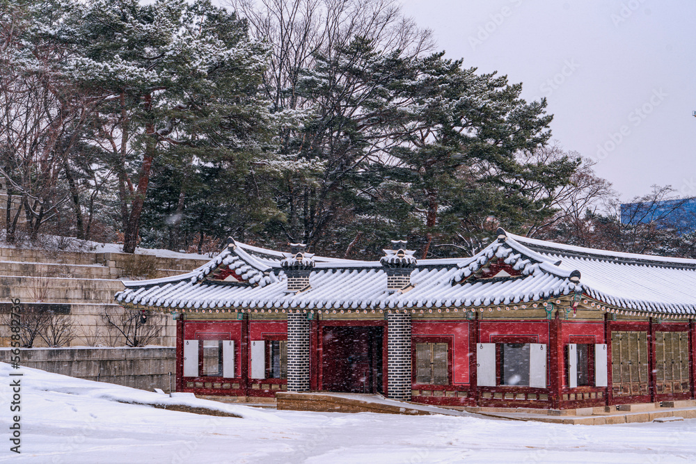 Snowy day in Changgyeonggung Palace, Seoul, Korea