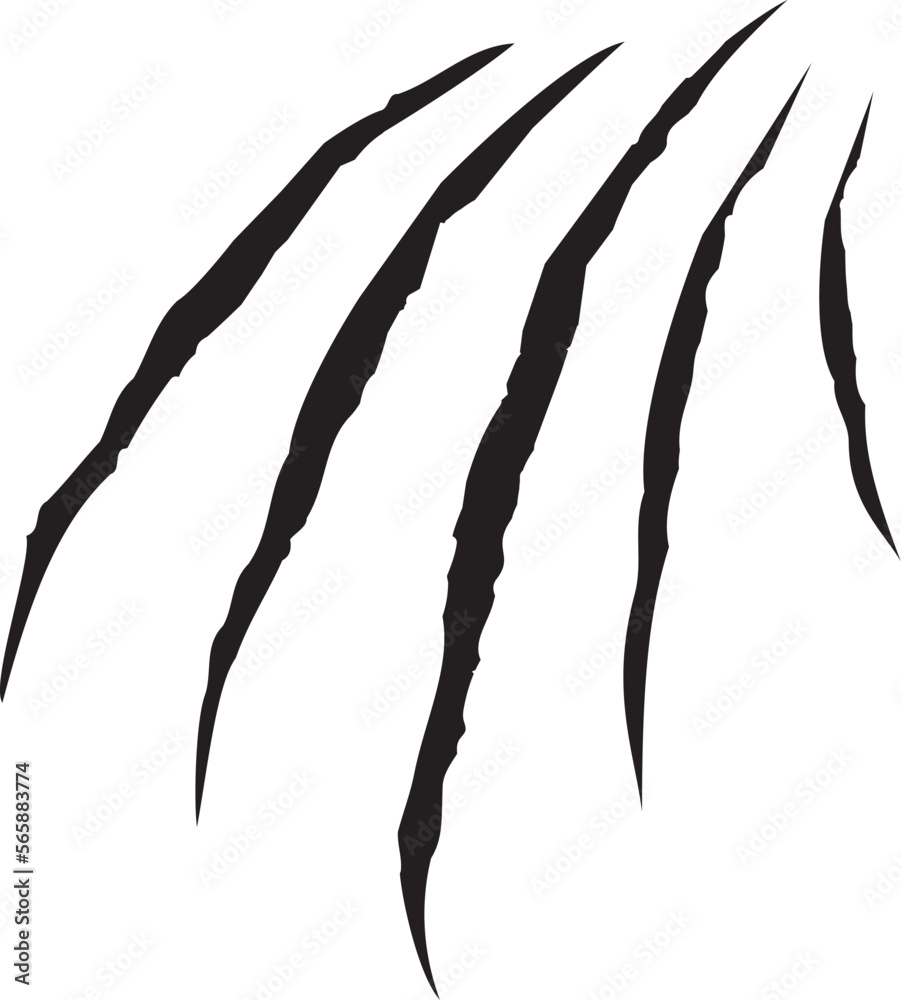 爪跡 爪跡