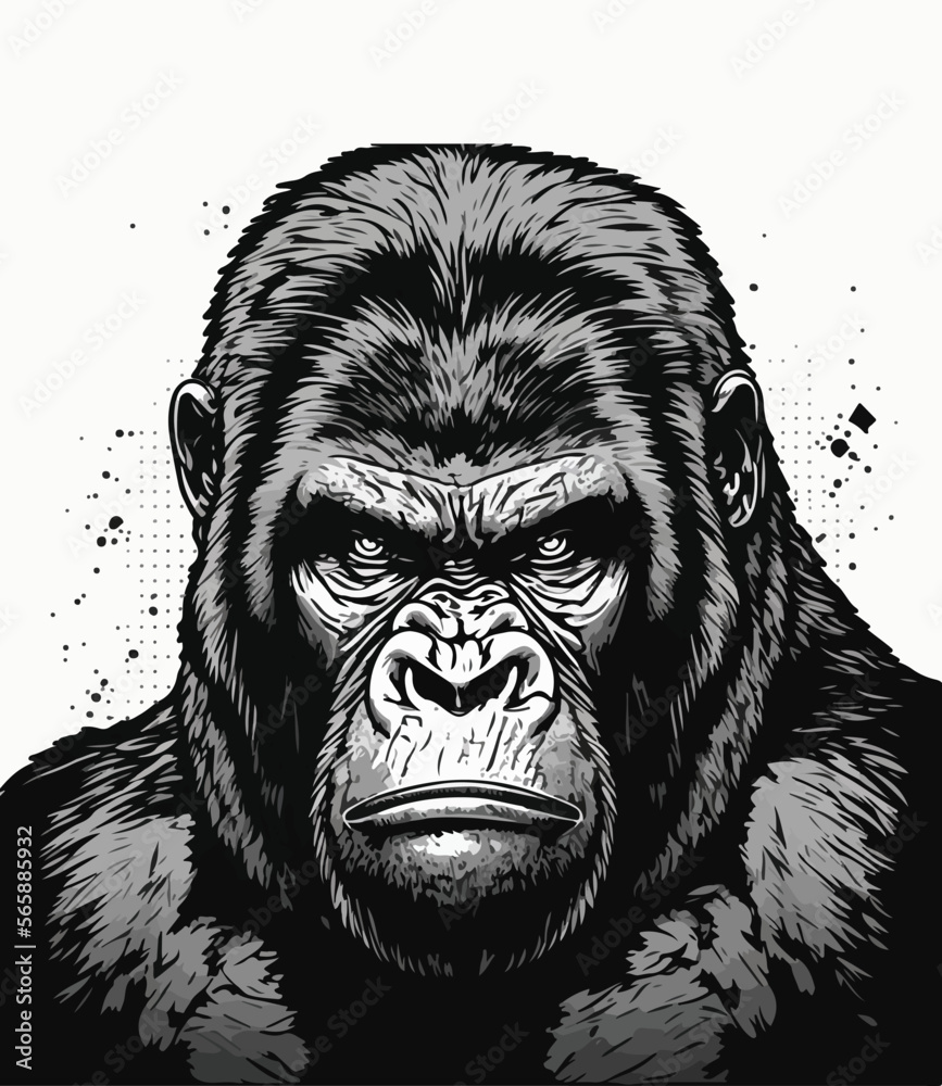Vector art illustrations of an angry gorilla face Vector art illustrations of an angry gorilla face
