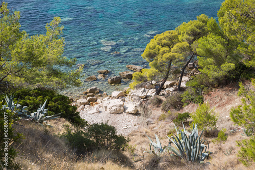 A bay with crystal clear turquoise water surrounded by pinewood and beautiful nature with a hidden beach below- landscape on a coastal trail from Hvar town to village Milna on the island Hvar, Croatia photo