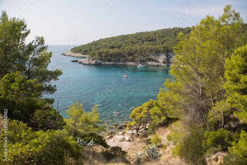 A bay with crystal clear water surrounded by pinewood and beautiful nature with a hidden beach below-beautiful landscape on a coastal trail from Hvar town to village Milna on the island Hvar, Croatia photo