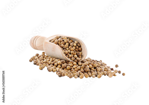 coriander seeds ,   isolated  on transparent png © nathanipha99