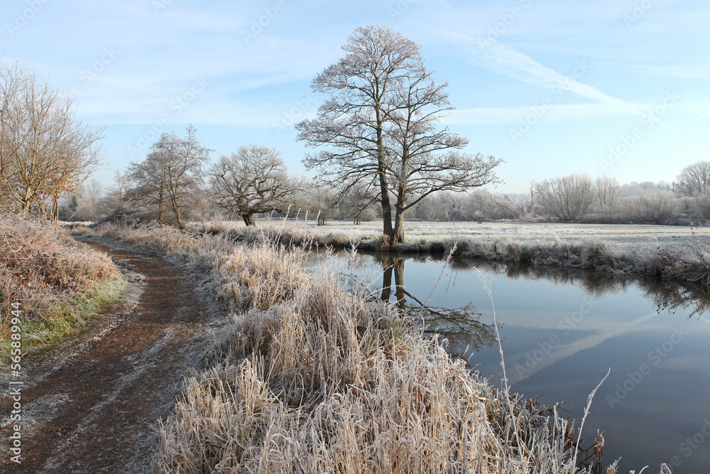 A still River Wey on a cold frosty morning, Surrey, UK. A still River Wey on a cold frosty morning, Surrey, UK.