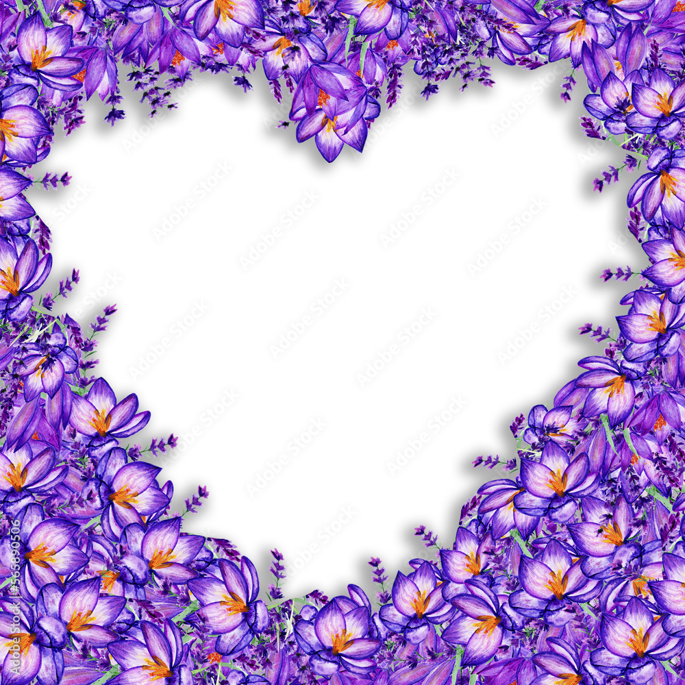 Lavanda And Crocus Heart Frame. Valentine's Day and Wedding Concept Illustration Lavanda And Crocus Heart Frame. Valentine's Day and Wedding Concept Illustration