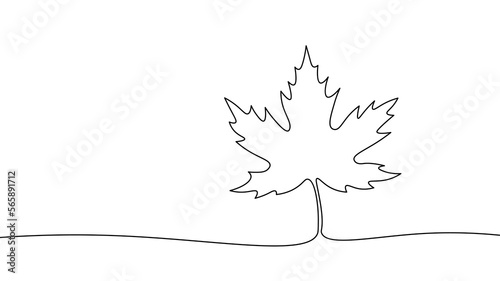 One line continuous canadian maple leaf symbol concept. Silhouette autumn leaves acer tree. Digital white single line sketch drawing vector illustration