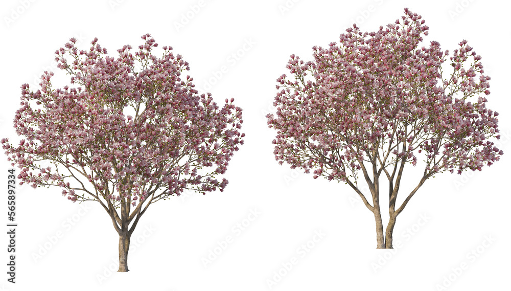 A tree with flowers of various colors on a transparent background. A tree with flowers of various colors on a transparent background.