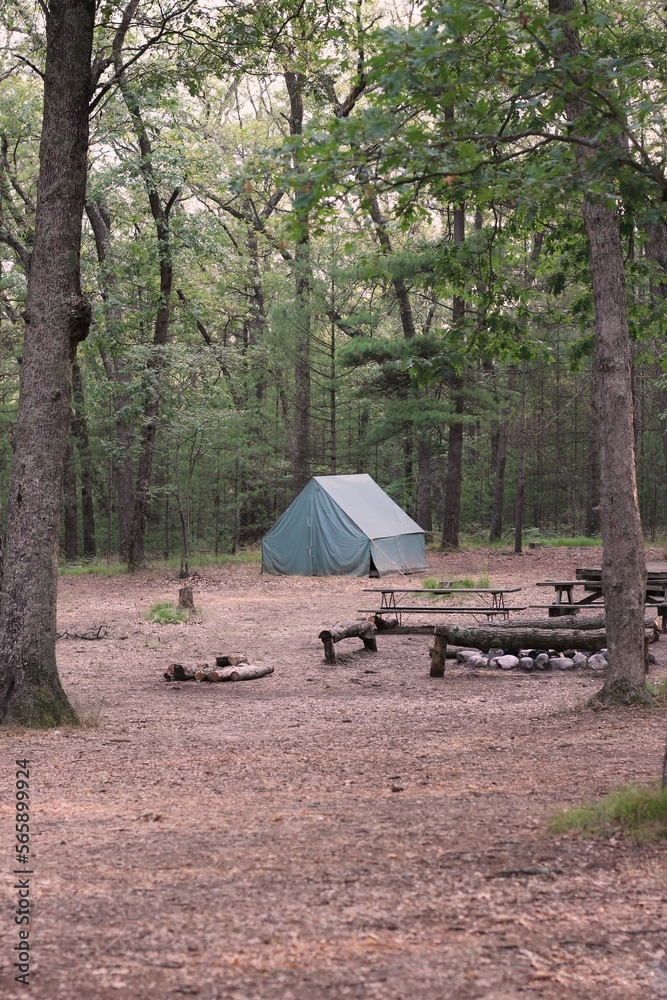Typical traditional canvas tent standing under the tall trees in the wilderness.