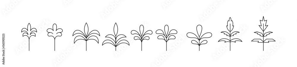 Set simple line icons palm trees vector illustration