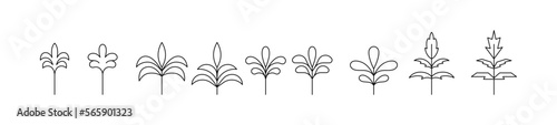 Set simple line icons palm trees vector illustration