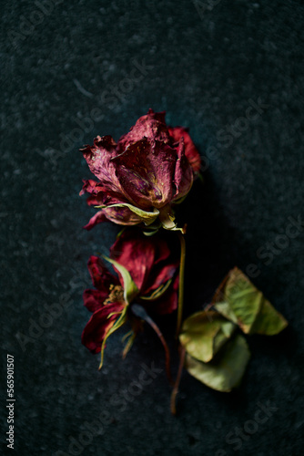 Dried red roses on dark stone background
