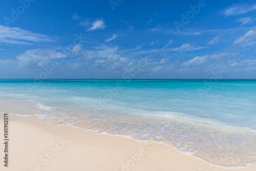 Freedom beach. Closeup white sand, calm blue sea, sunny sky. Seascape horizon. Beautiful outdoor nature scenic, tropical Mediterranean ocean shore. Beautiful tranquil coastline, relax island paradise.