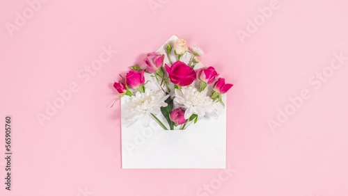 4k Natural red and white flowers buds emerge from opening white envelope. Valentine's, mother's day holiday, wedding and and other occasions. Pink background. Stop motion animation. Copy space.