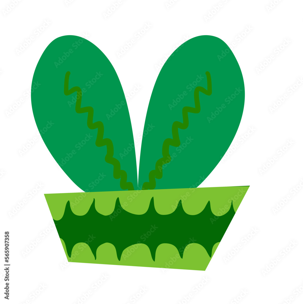 potted plants decoration