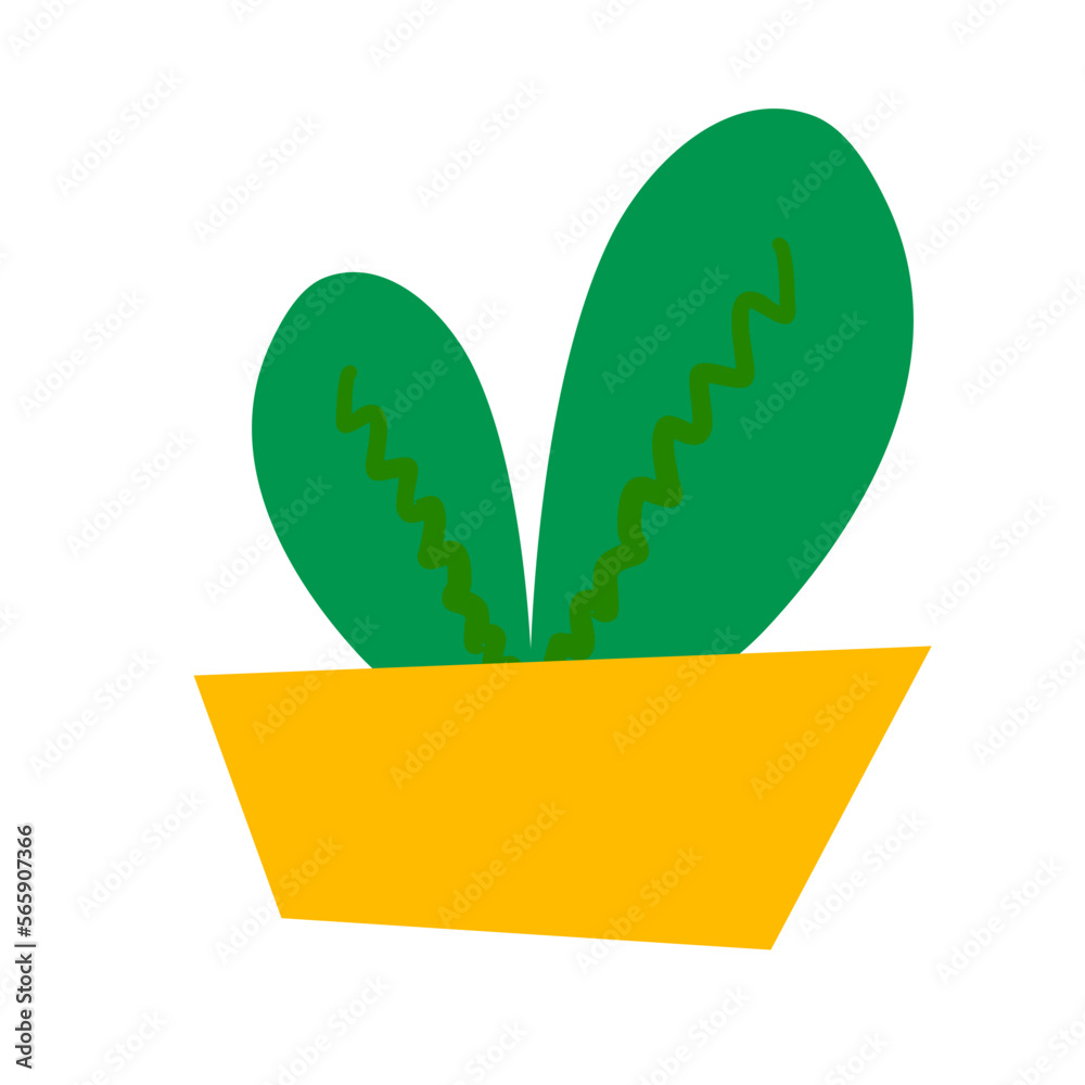 potted plants decoration potted plants decoration