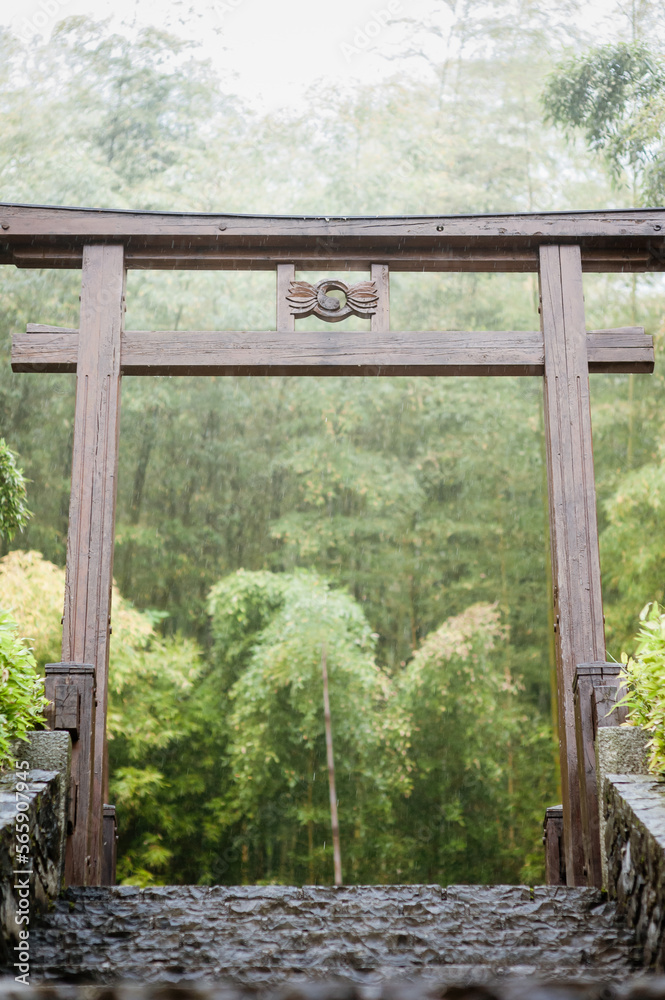 Mystisches Torii-Tor im Bambusgarten im Botanischen Garten von Villa Carlotta, Tremezzina, Comer See, Lombardei, Italien Mystisches Torii-Tor im Bambusgarten im Botanischen Garten von Villa Carlotta, Tremezzina, Comer See, Lombardei, Italien