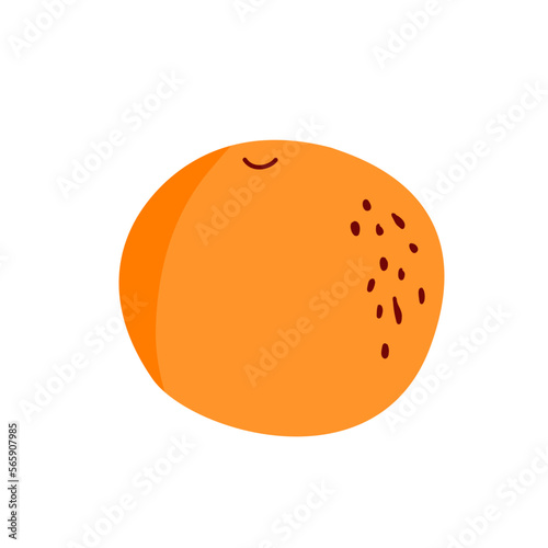 Fototapeta Naklejka Na Ścianę i Meble -  slice orange fruit illustration