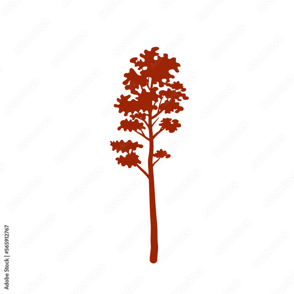 Fototapeta premium silhouette of tall tree