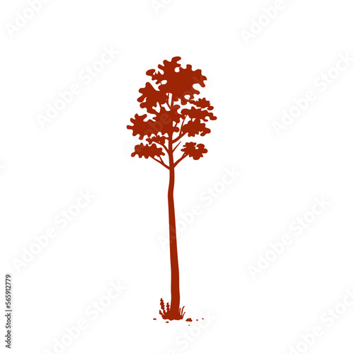 silhouette of tall tree