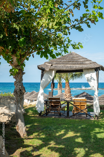 Vacation resorts on Cyprus near Paprhos with green grass  beach umbrellas  beds  beaches and palm trees  travel destination in EU  Cyprus