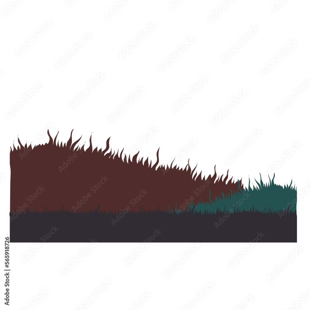 Meadow grass background Meadow grass background