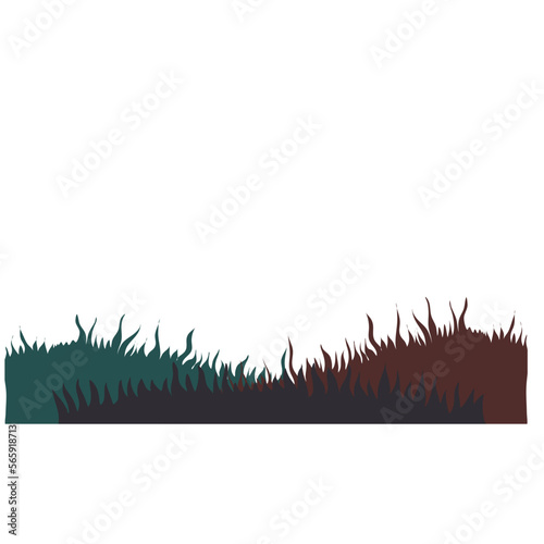 Meadow grass background